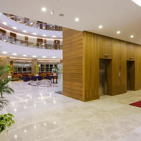 Michell & (adults Only)